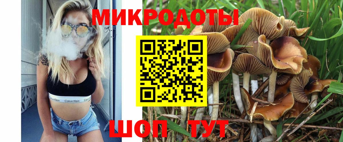 Псилоцибиновые грибы Cubensis Дзержинский